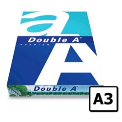 a3 aa
